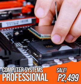 computer-systems-profesional