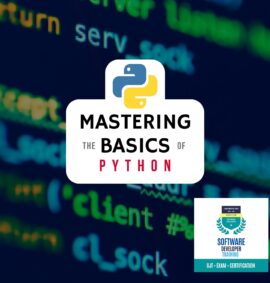 Mastering the Basics of Python
